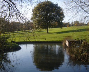 Birch Grove Golf Club Colchester